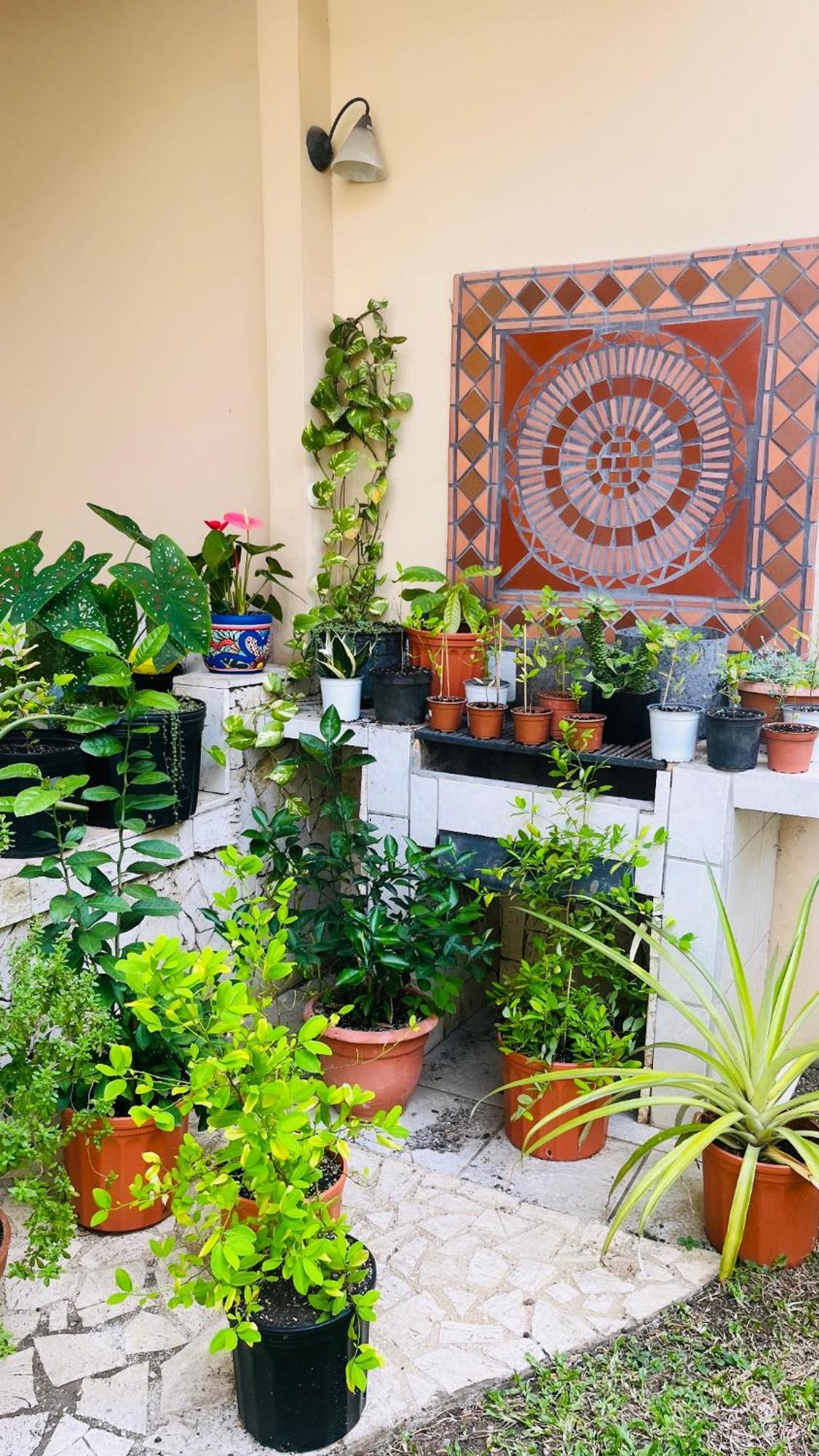 Ester'S Place Escazu Bagian luar foto