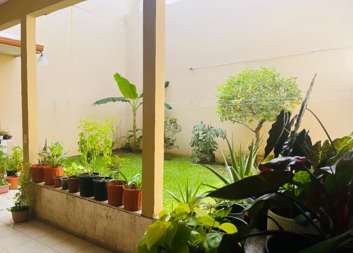 Ester'S Place Escazu Bagian luar foto