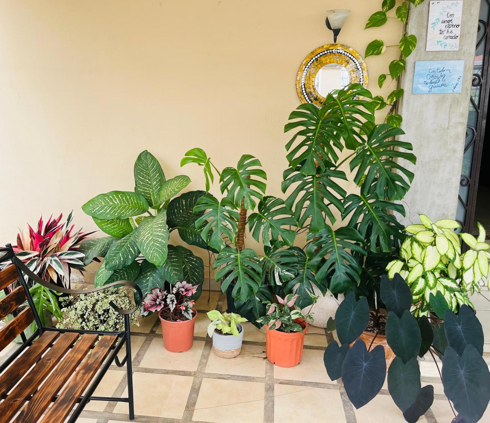 Ester'S Place Escazu Bagian luar foto
